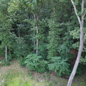 Photo #5 of Redgate, Pittsboro, NC 8.4 acres