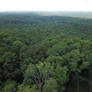 Photo #1 of Redgate, Pittsboro, NC 8.4 acres