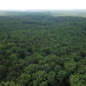 Photo #3 of Redgate, Pittsboro, NC 8.4 acres