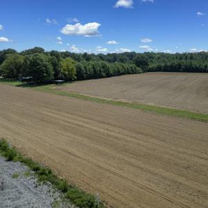 Photo #15 of 833 River Point, Moncure, NC 39.2 acres
