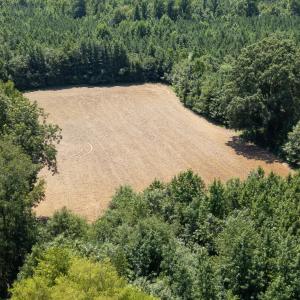 Photo #14 of 833 River Point, Moncure, NC 39.2 acres