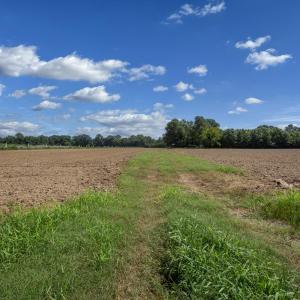 Photo #2 of 833 River Point, Moncure, NC 39.2 acres