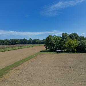 Photo #12 of 833 River Point, Moncure, NC 39.2 acres