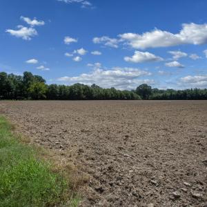 Photo #3 of 833 River Point, Moncure, NC 39.2 acres