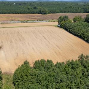 Photo #13 of 833 River Point, Moncure, NC 39.2 acres