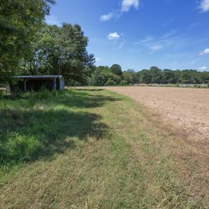 Photo #4 of 833 River Point, Moncure, NC 39.2 acres