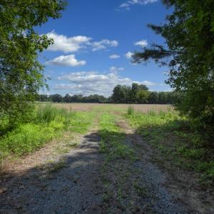 Photo #1 of 833 River Point, Moncure, NC 39.2 acres