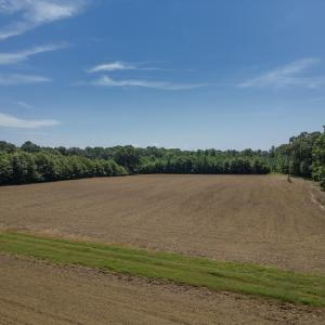 Photo #11 of 833 River Point, Moncure, NC 39.2 acres
