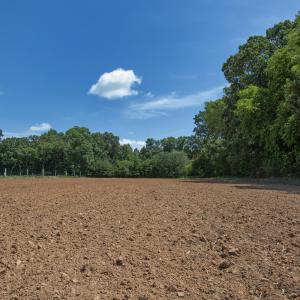 Photo #6 of 833 River Point, Moncure, NC 39.2 acres