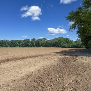 Photo #5 of 833 River Point, Moncure, NC 39.2 acres