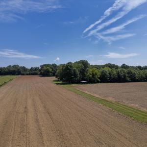 Photo #10 of 833 River Point, Moncure, NC 39.2 acres