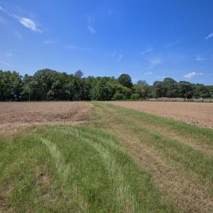 Photo #9 of 833 River Point, Moncure, NC 39.2 acres