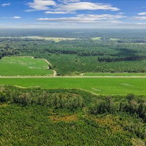 Photo #5 of 850 Horseshoe Bend, Erwin, NC 175.0 acres