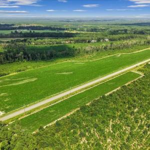 Photo #7 of 850 Horseshoe Bend, Erwin, NC 175.0 acres