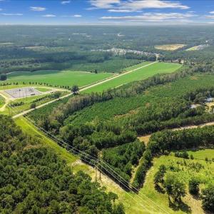 Photo #11 of 850 Horseshoe Bend, Erwin, NC 175.0 acres
