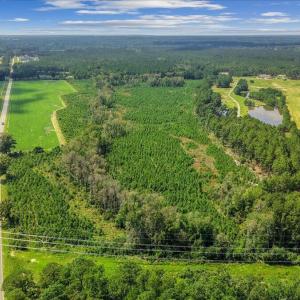 Photo #10 of 850 Horseshoe Bend, Erwin, NC 175.0 acres