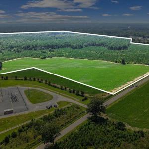 Photo #2 of 850 Horseshoe Bend, Erwin, NC 175.0 acres