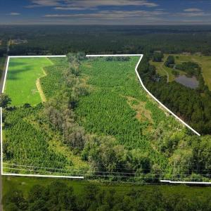 Photo #3 of 850 Horseshoe Bend, Erwin, NC 175.0 acres