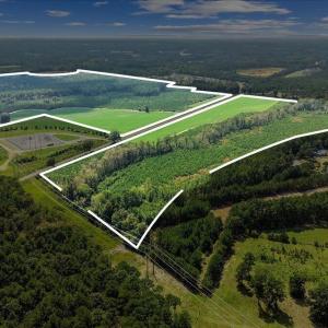 Photo #1 of 850 Horseshoe Bend, Erwin, NC 175.0 acres
