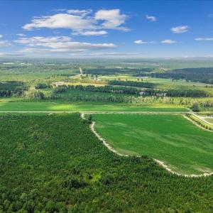 Photo #8 of 850 Horseshoe Bend, Erwin, NC 175.0 acres