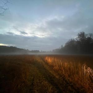 Photo #3 of 6061 River Run, Graham, NC 19.1 acres
