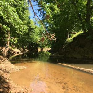 Photo #20 of 6061 River Run, Graham, NC 19.1 acres