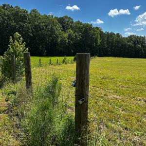 Photo #10 of 6061 River Run, Graham, NC 19.1 acres