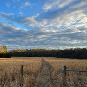 Photo #8 of 6061 River Run, Graham, NC 19.1 acres