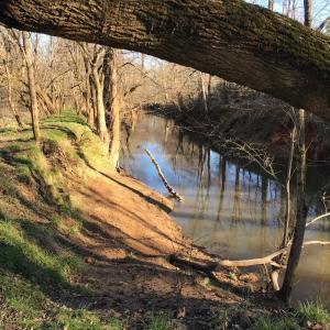 Photo #24 of 6061 River Run, Graham, NC 19.1 acres