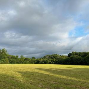 Photo #2 of 6061 River Run, Graham, NC 19.1 acres