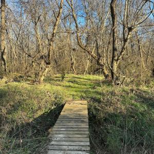 Photo #14 of 6061 River Run, Graham, NC 19.1 acres