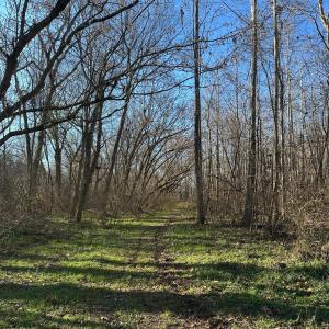 Photo #15 of 6061 River Run, Graham, NC 19.1 acres