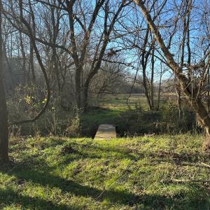 Photo #13 of 6061 River Run, Graham, NC 19.1 acres