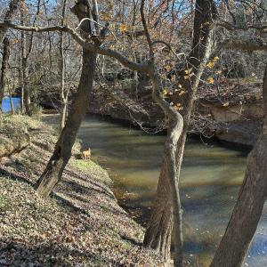 Photo #21 of 6061 River Run, Graham, NC 19.1 acres