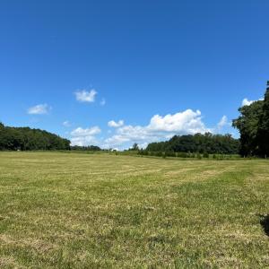 Photo #5 of 6061 River Run, Graham, NC 19.1 acres