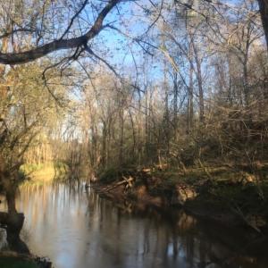 Photo #26 of 6061 River Run, Graham, NC 19.1 acres