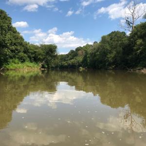 Photo #18 of 6061 River Run, Graham, NC 19.1 acres
