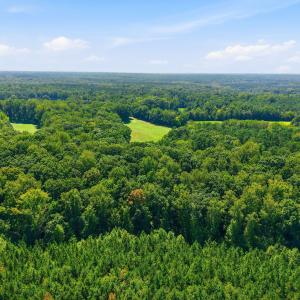 Photo #17 of Lot 2 Spring Valley, Henderson, NC 10.9 acres