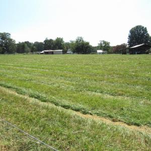 Photo #8 of Lot 2 Spring Valley, Henderson, NC 10.9 acres