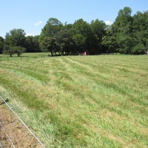Photo #6 of Lot 2 Spring Valley, Henderson, NC 10.9 acres