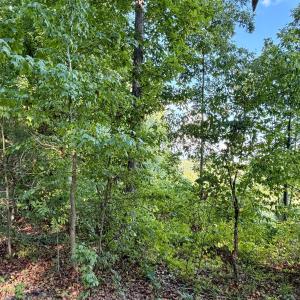 Photo #15 of Satterwhite Point, Henderson, NC 7.7 acres