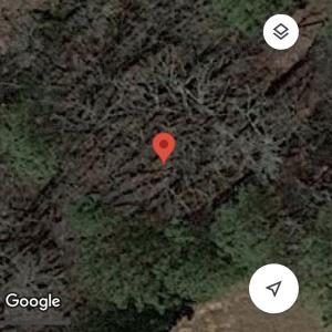 Photo #2 of University Station, Chapel Hill, NC 64.4 acres