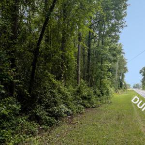 Photo #30 of Johnson Pond, Red Springs, NC 22.3 acres