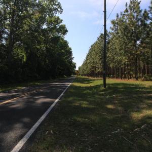 Photo #23 of Johnson Pond, Red Springs, NC 22.3 acres