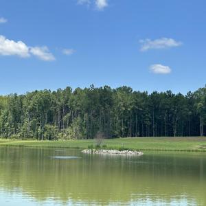 Photo #14 of 230 Bealy Farm, Zebulon, NC 2.7 acres