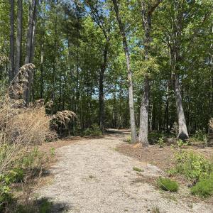 Photo #17 of 230 Bealy Farm, Zebulon, NC 2.7 acres