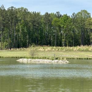 Photo #6 of 230 Bealy Farm, Zebulon, NC 2.7 acres