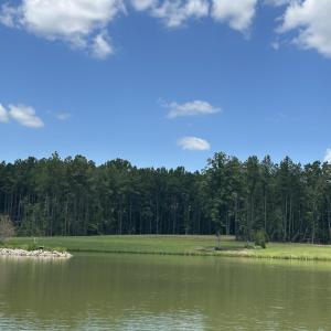 Photo #13 of 230 Bealy Farm, Zebulon, NC 2.7 acres