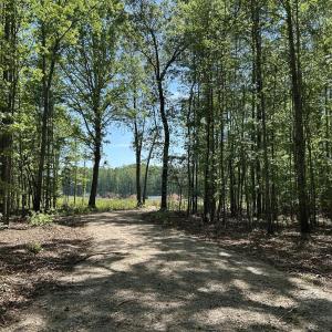 Photo #3 of 230 Bealy Farm, Zebulon, NC 2.7 acres