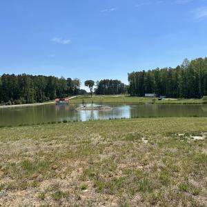 Photo #10 of 230 Bealy Farm, Zebulon, NC 2.7 acres